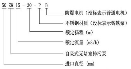 ZW自吸排污泵 ZW自吸排污泵