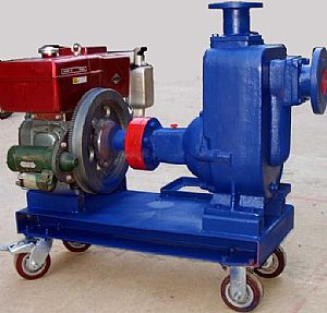 ���͙C�������o�������۱�ZWC